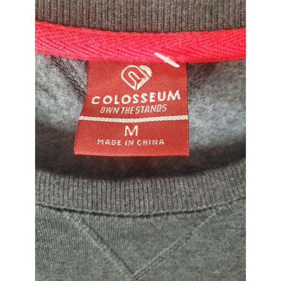 Colosseum Wisconsin Badgers Charcoal Gray Sweatshirt, NWOT, Med - Picture 5 of 6